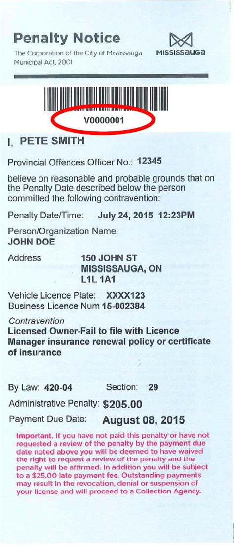pay speeding ticket mississauga|Tickets, fines and penalties .